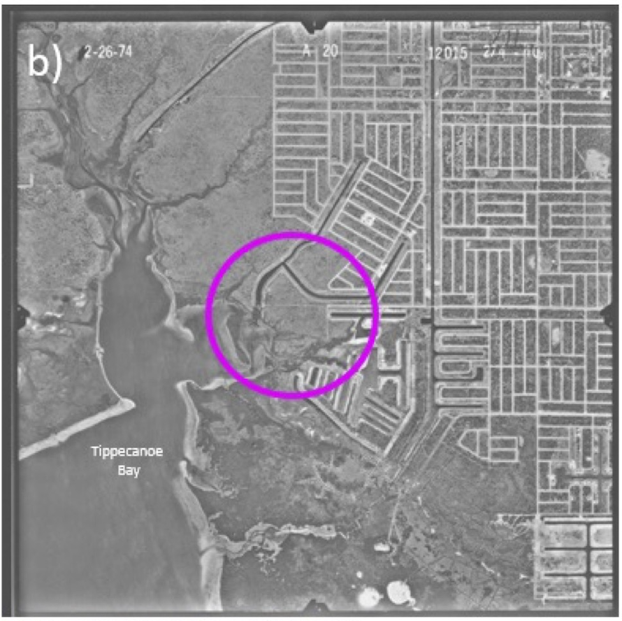 Figure 2b shows a black-and-white map of Tippecanoe Bay, Florida, from 1974, with a magenta circle indicating the area of interest.