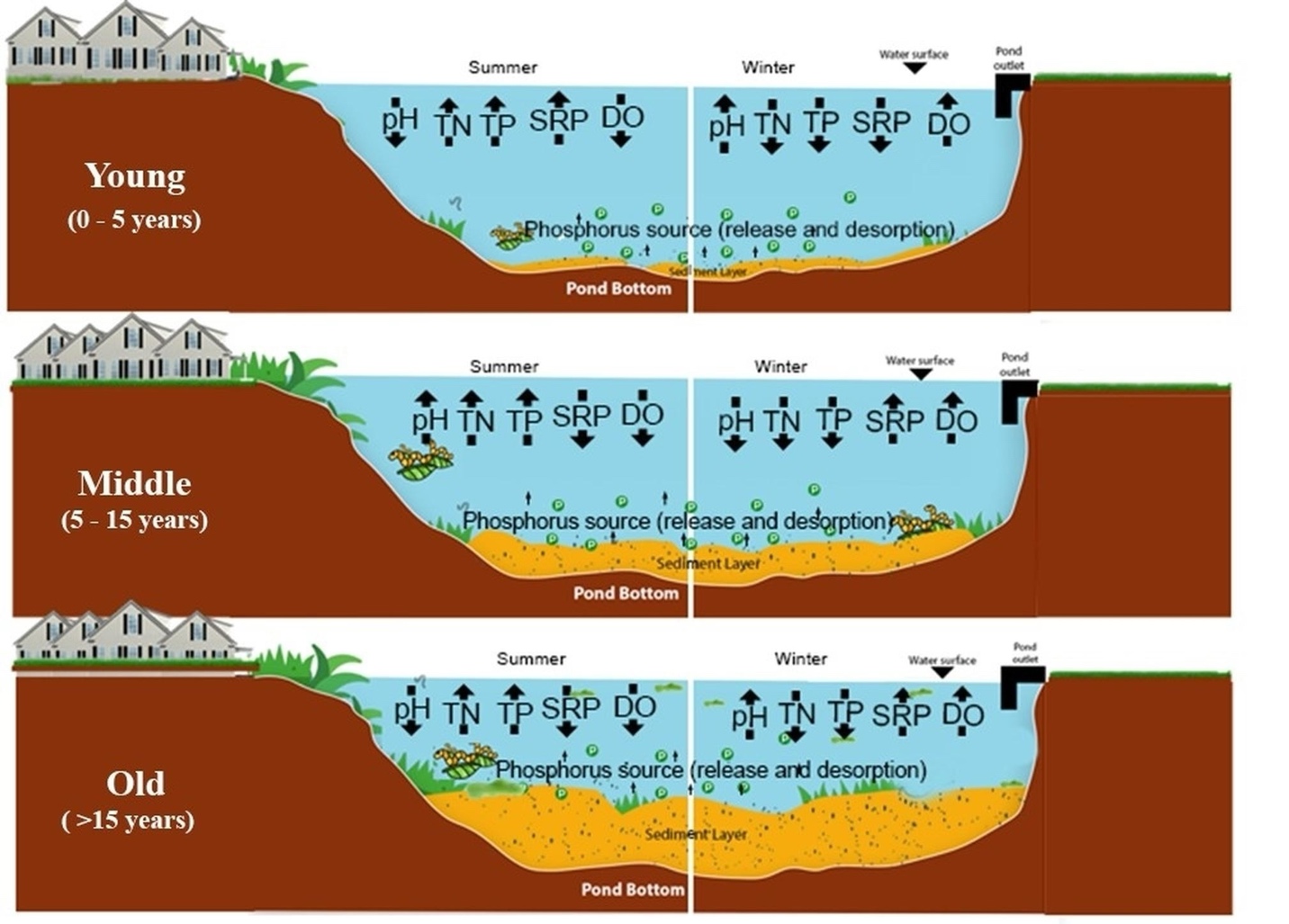 Diagram of a diagram showing water level AI-generated content may be incorrect.
