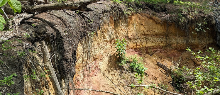 Assessing the Accuracy of HydroCAD for Pre-Development Runoff in Wooded Coastal Watersheds