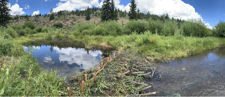 Decision Support and Guidance for Applying Hydraulic Modeling to Beaver Dam Analog Stream Restoration Projects