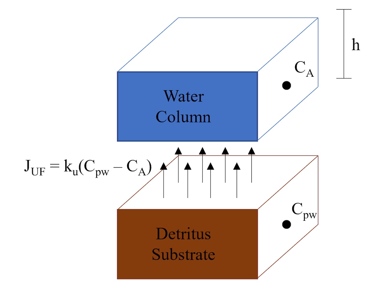 A diagram showing two rectangular cubes stacked on top of one another with a small amount of space between them. The top cube is blue and labeled Water Column. The bottom cube is brown and labeled Detritus Substrate. In the space between the cube, black arrows point up from the brown cube to the blue cube.