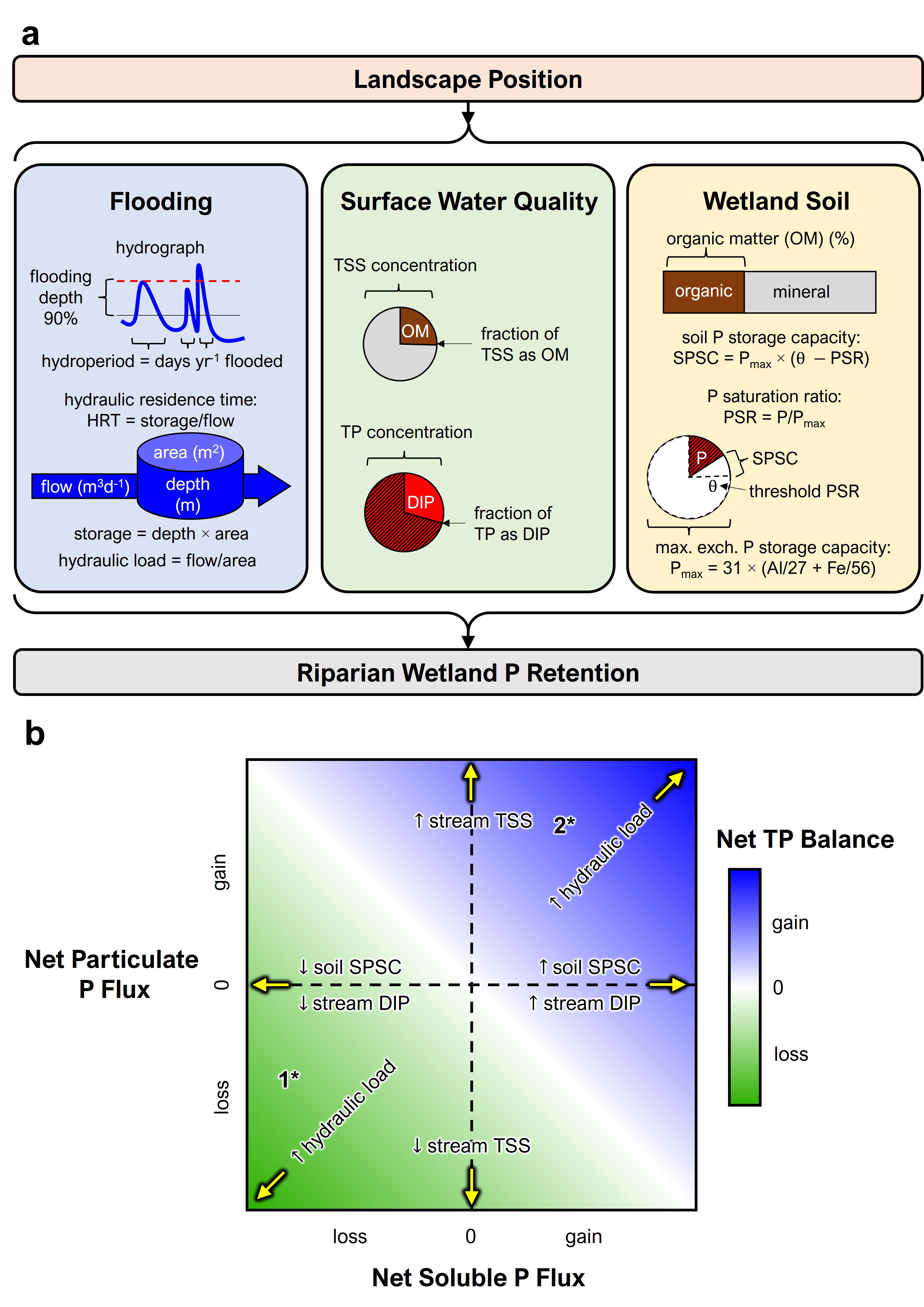 Two, color diagrams of conceptual framework