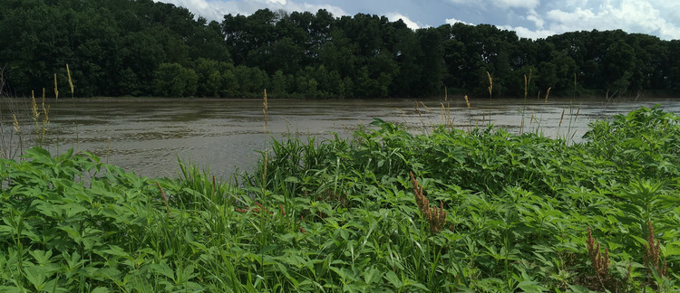 Volume 4 &bull; Issue 1 &bull; 2026